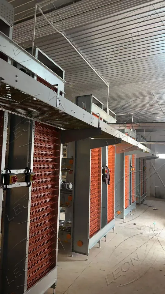 H-Type Chain Automated Cage System For Layers best