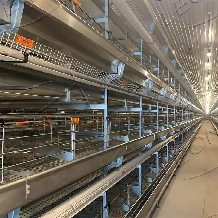 H-Type Chain Automated Cage System For Layers high quality
