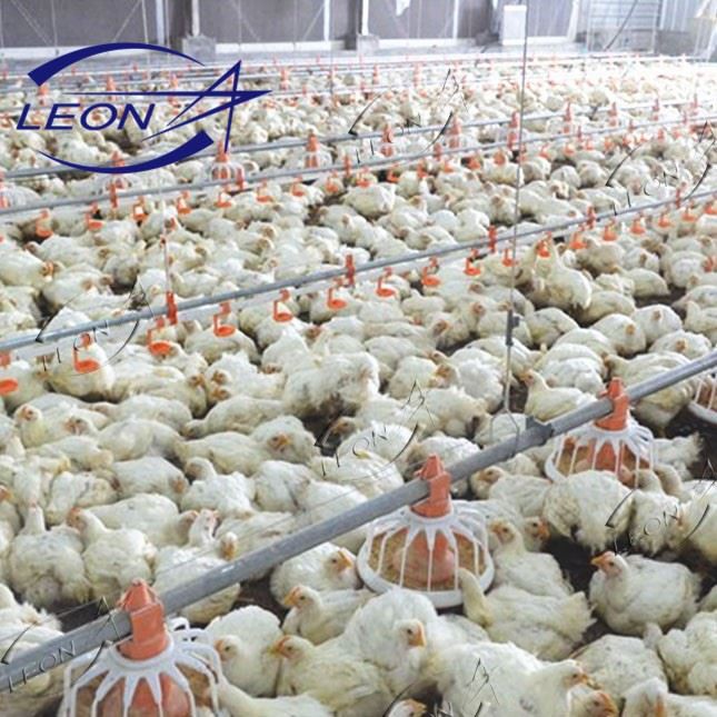 High-Efficiency Broiler Floor Rearing Equipment System price