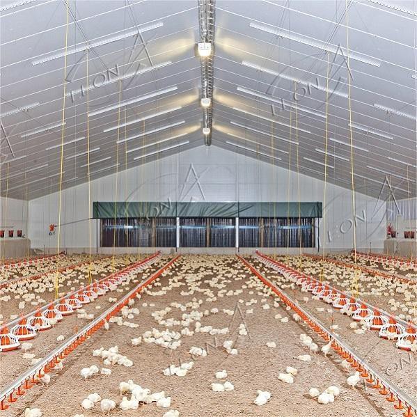 High-Efficiency Broiler Floor Rearing Equipment System
