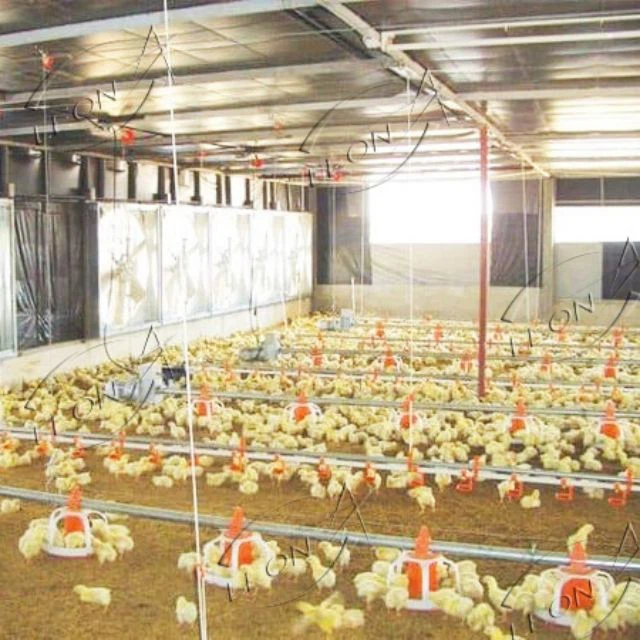 High-Efficiency Broiler Floor Rearing Equipment System best
