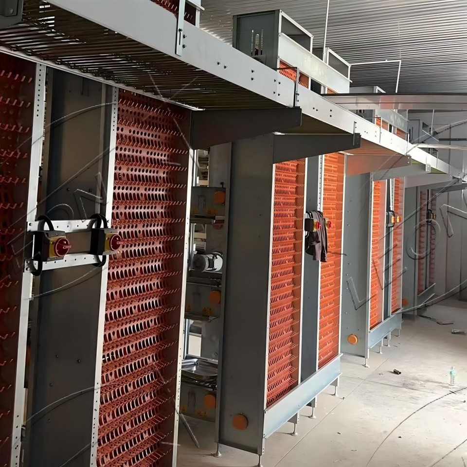 High-efficiency H-type Chain Cage System For Laying Hens suppliers High-efficiency H-type Chain Cage System For Laying Hens suppliers