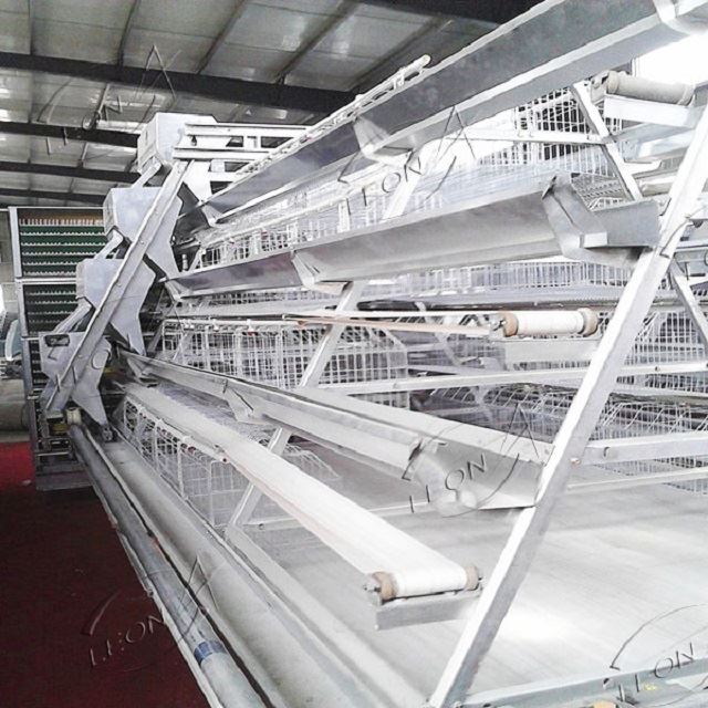 Leon A-Type Layer Battery Cage System