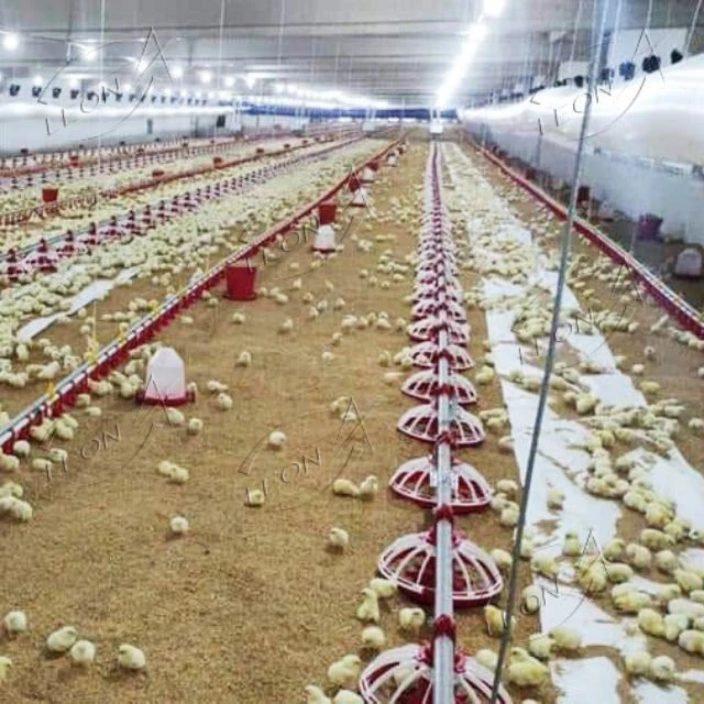 LEON Automated Broiler Floor Raising System high quality LEON Automated Broiler Floor Raising System high quality