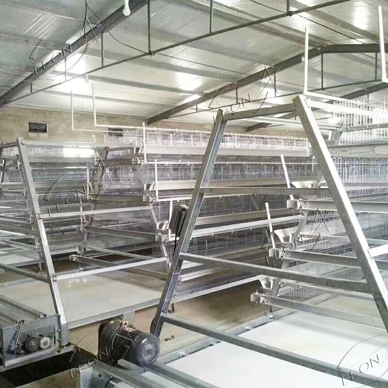 High-quality, Economical A-type Layer Cage System