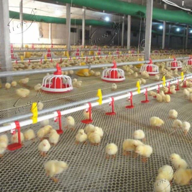 Low Entry, High Yield: LEON High-ROI Broiler Ground Raising System price