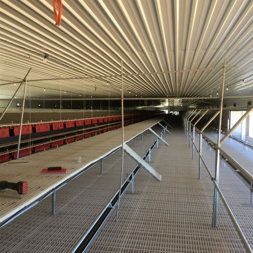 Maximize Fertility, Zero Floor Eggs: LEON Advanced Breeder Raising System high quality