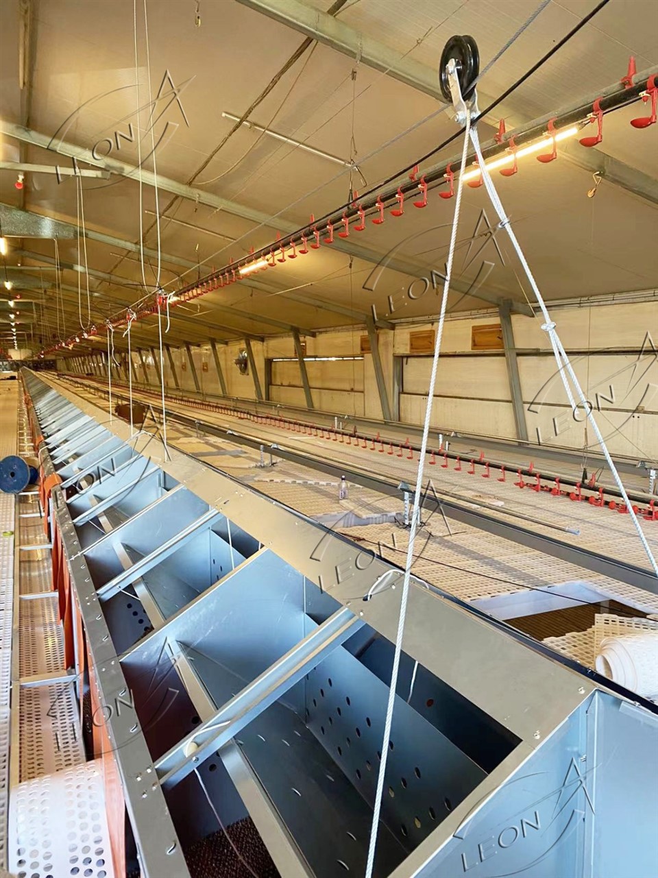 Maximize Fertility, Zero Floor Eggs: LEON Advanced Breeder Raising System price