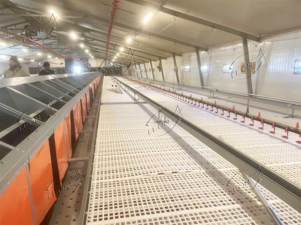 Maximize Fertility, Zero Floor Eggs: LEON Advanced Breeder Raising System factory