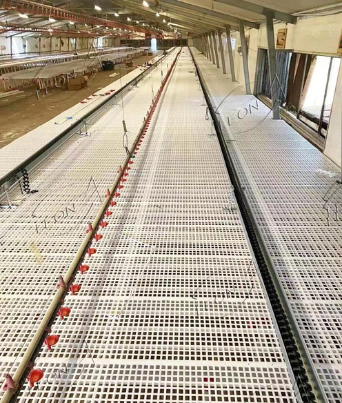 loading 6 loading 6