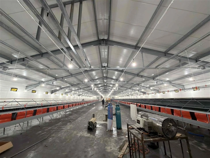 Precision Control, Peak Hatchability: The LEON Breeder Ground Raising System factory