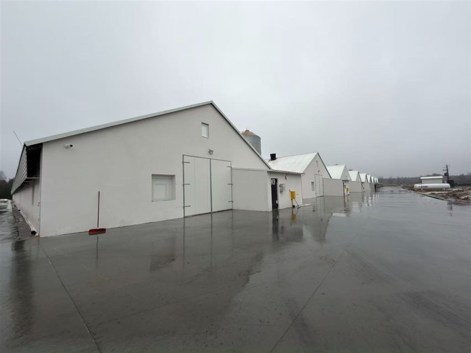 085ceb674c37213491d85b45f964417f