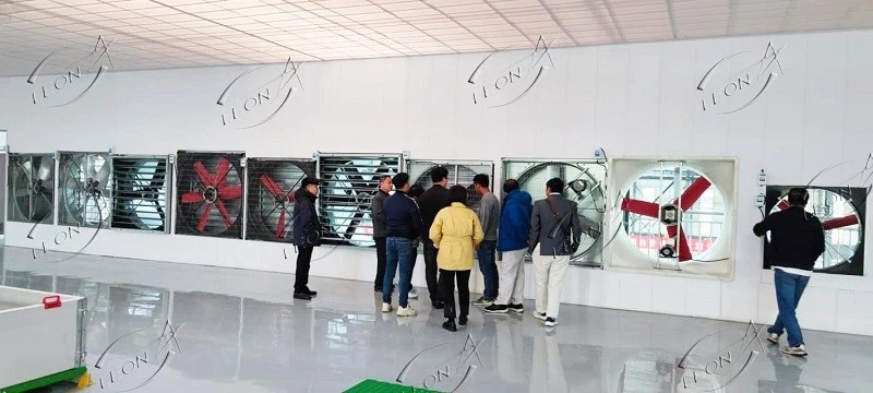 product-800-360 product-800-360