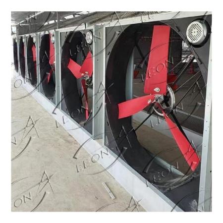 product-450-450