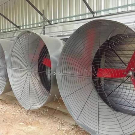 product-450-450