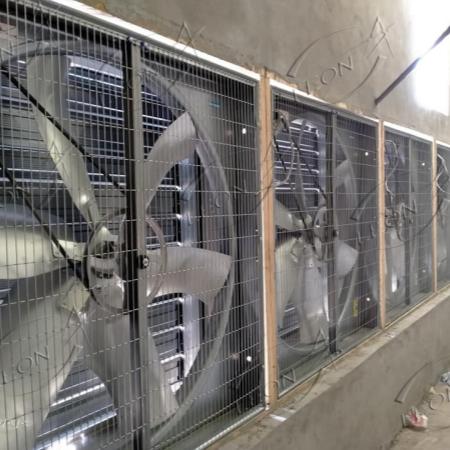 product-450-450