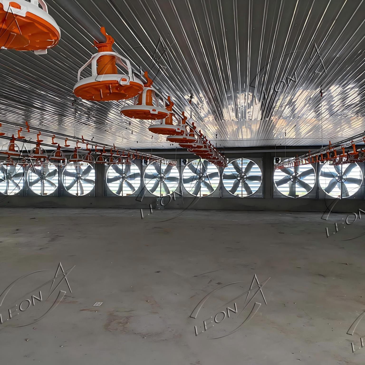 product-1536-1536 product-1536-1536