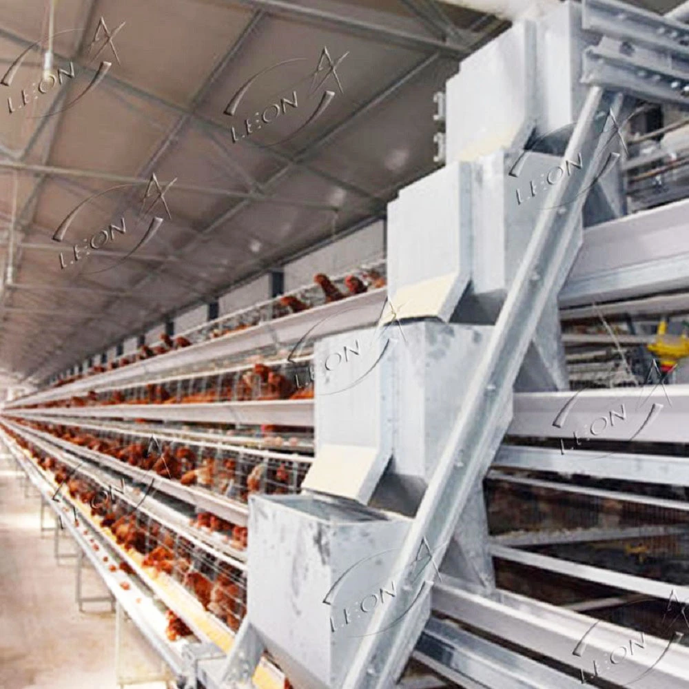 product-1000-1000 product-1000-1000