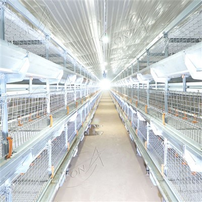 Automatic Broiler Cage Raising System