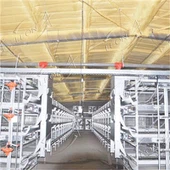 Fully Automatic H Type Broiler Battery Cage System