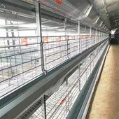 Poultry Farm H Type Layer Chicken Cage