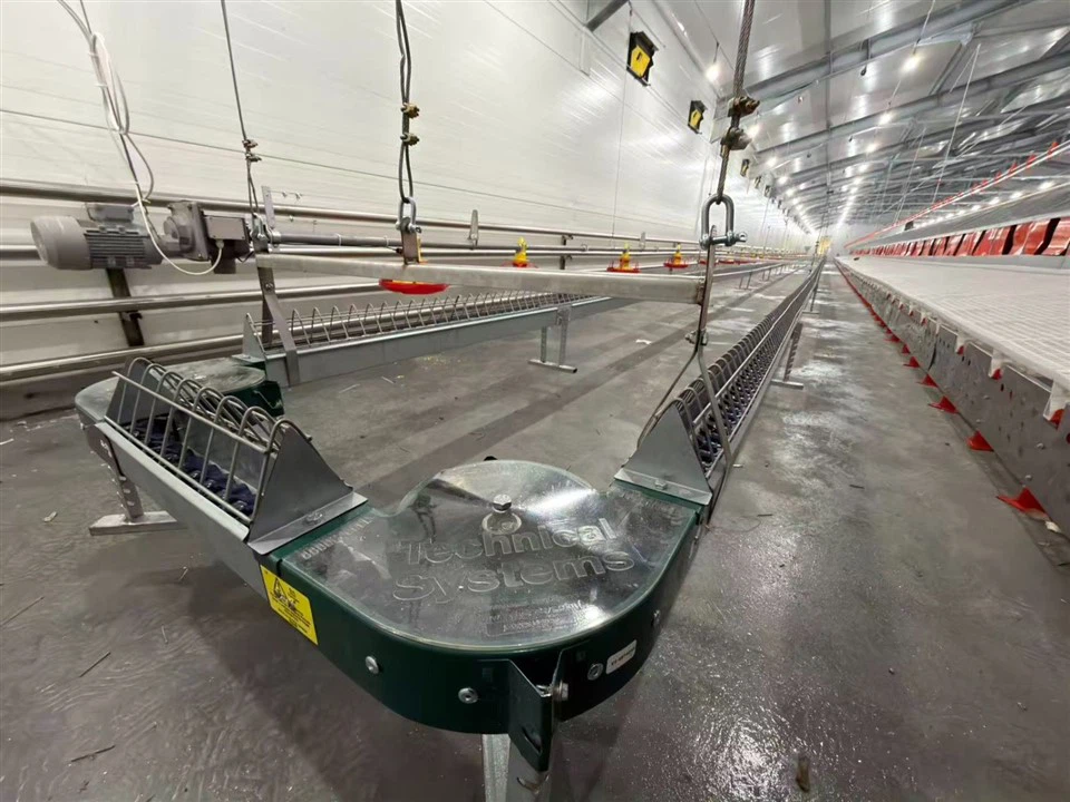 _20260330100220_500_16