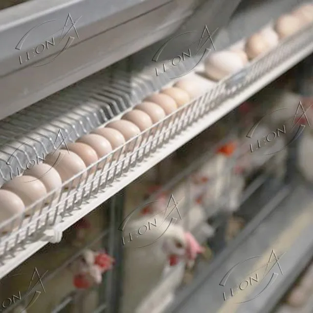 Ultimate Density, Maximum Yield: LEON H-Type Automatic Layer Cage System factory