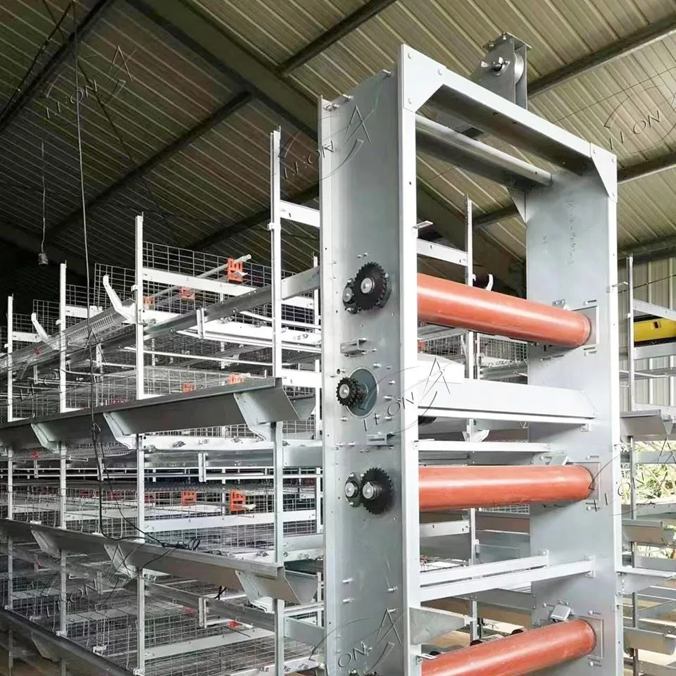 Ultimate Density, Maximum Yield: LEON H-Type Automatic Layer Cage System suppliers